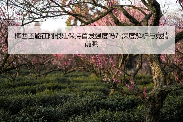 梅西还能在阿根廷保持首发强度吗？深度解析与竞猜前瞻